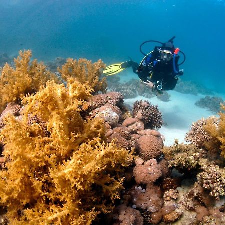 Dive Urge Hotel Dahab Bagian luar foto