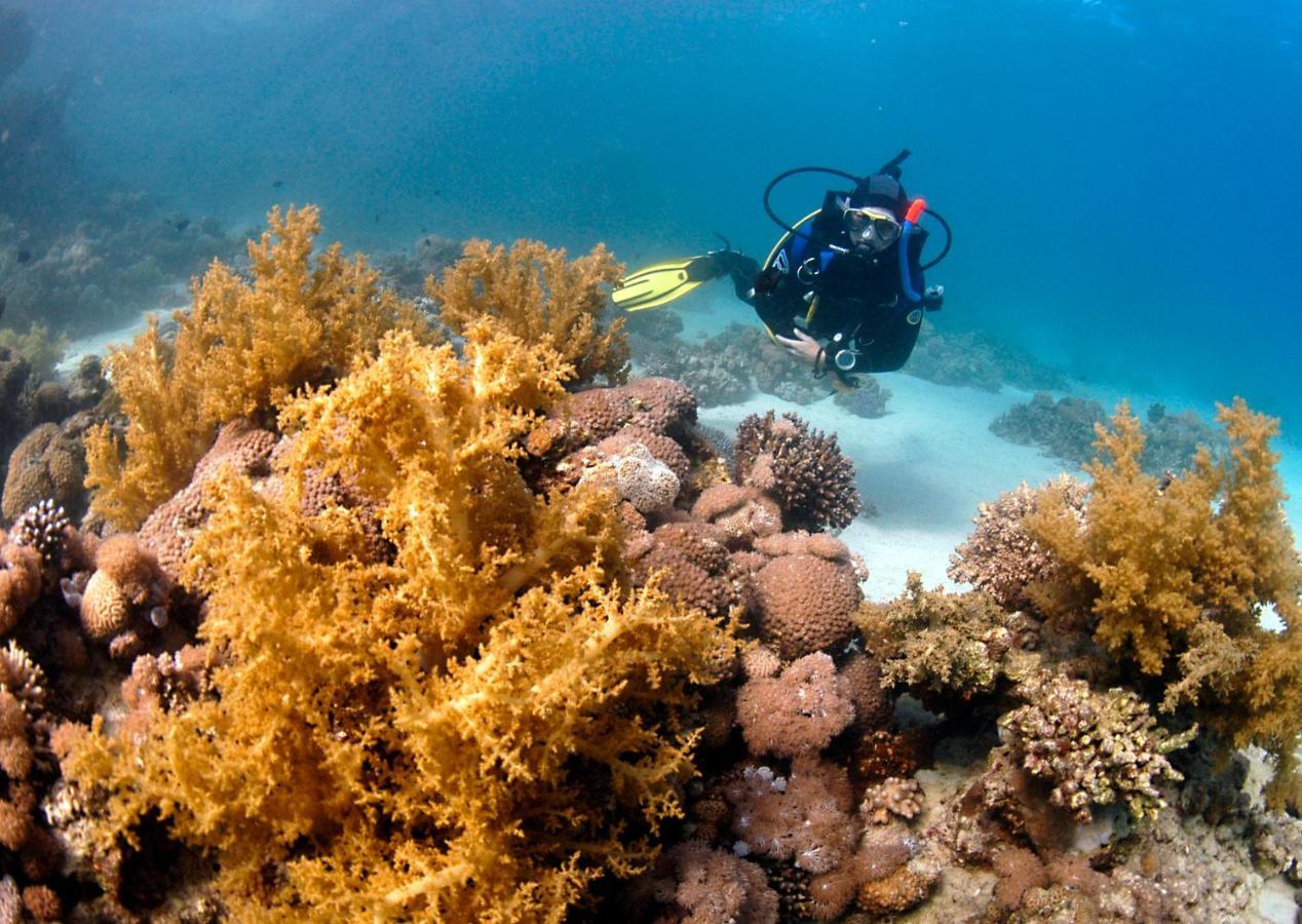 Dive Urge Hotel Dahab Bagian luar foto