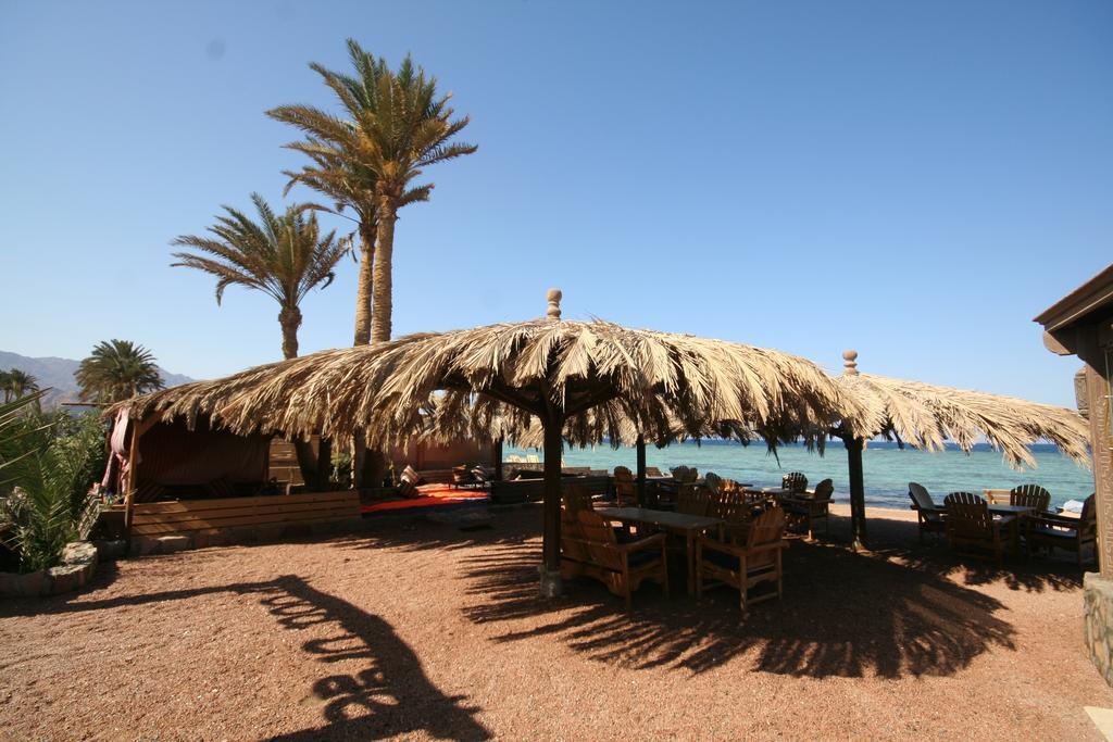 Dive Urge Hotel Dahab Bagian luar foto