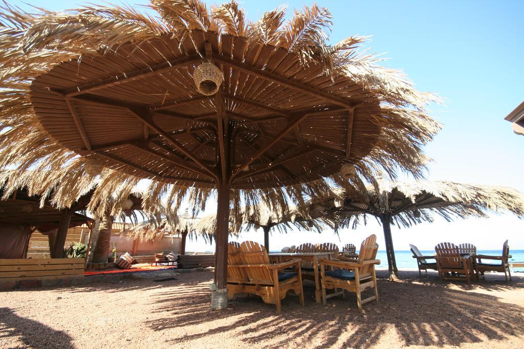 Dive Urge Hotel Dahab Bagian luar foto