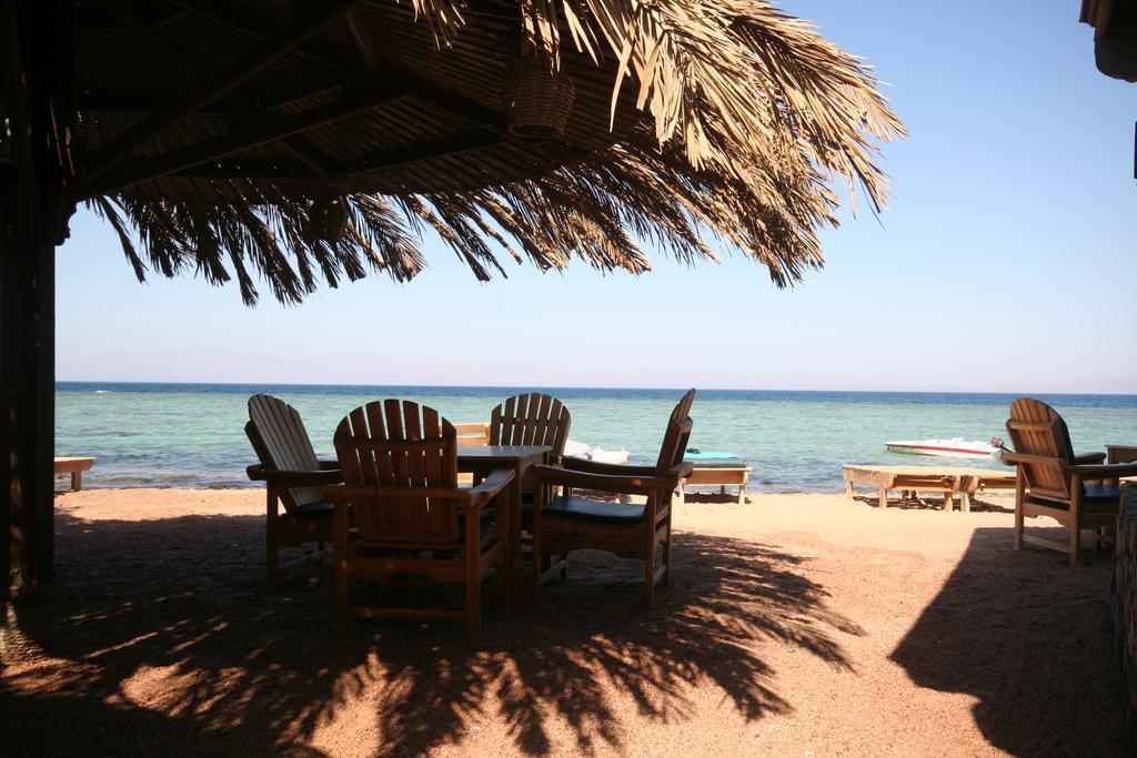 Dive Urge Hotel Dahab Bagian luar foto